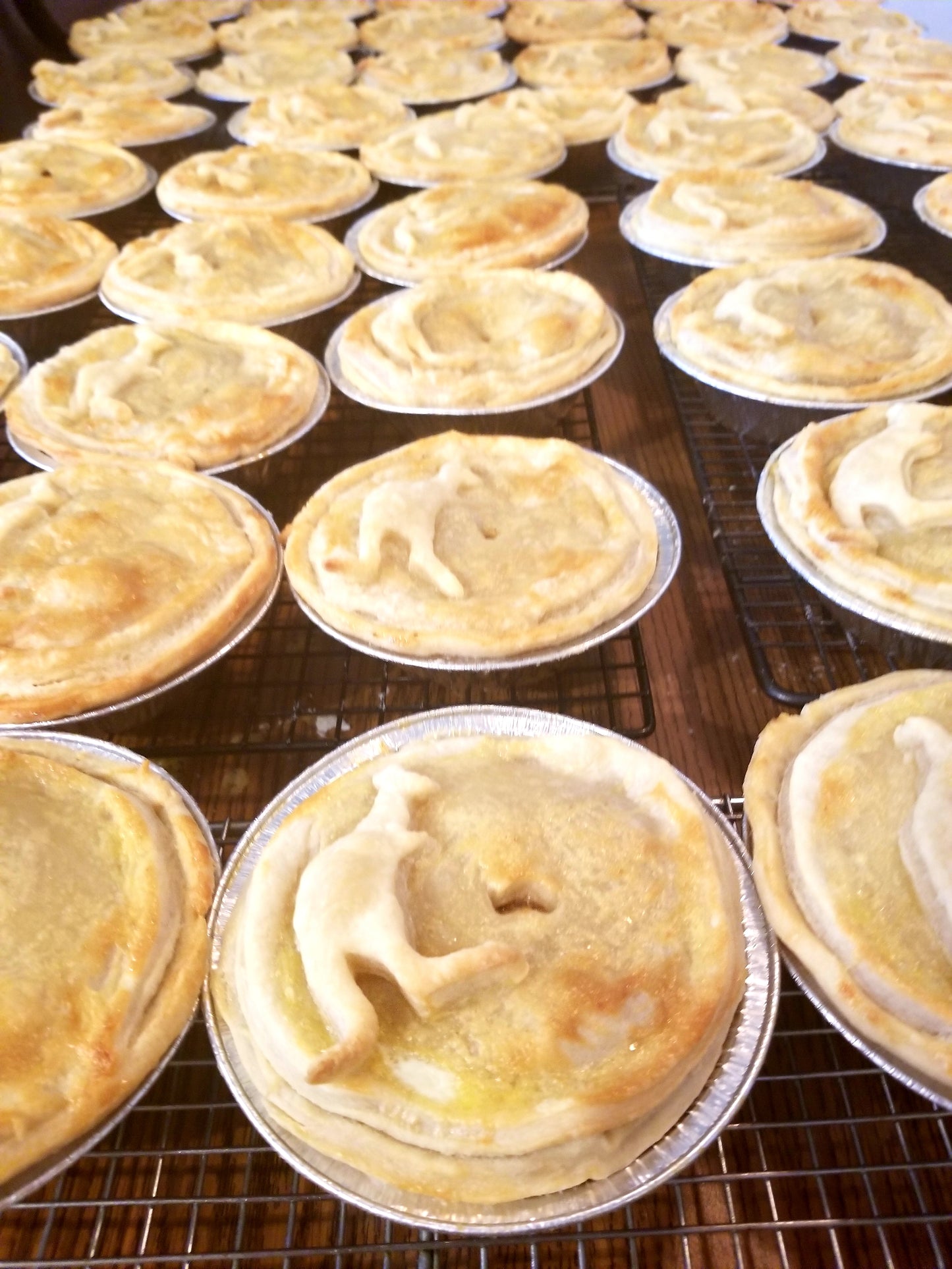 THUNDER DOWN-UNDER MEAT PIE (BOX OF 12)